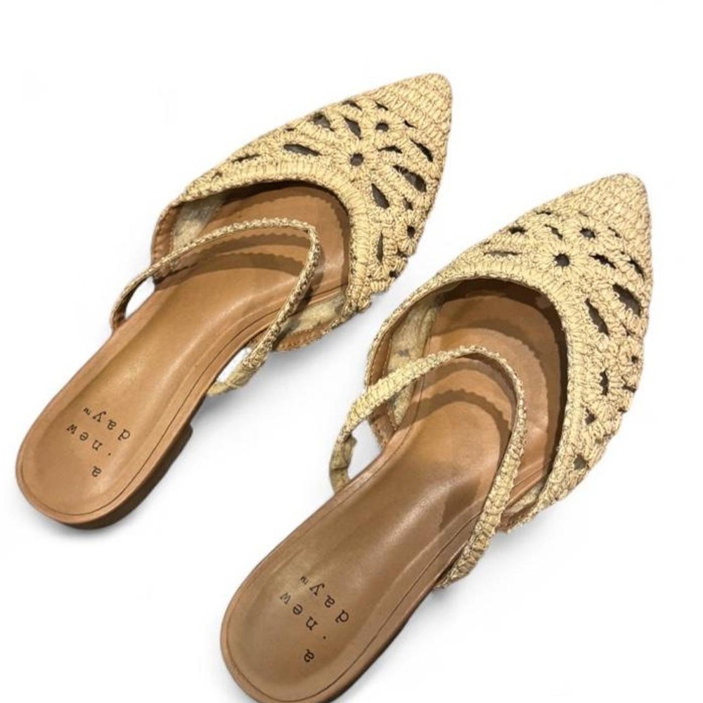 Coquette Woven Pointed Toe Flats